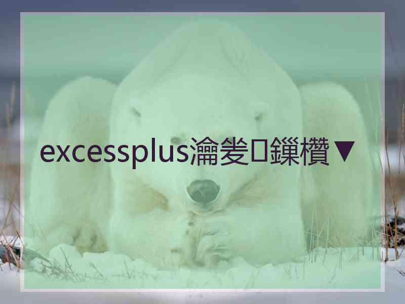 excessplus瀹夎鏁欑▼