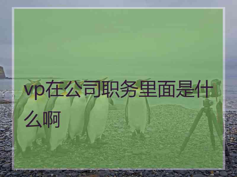 vp在公司职务里面是什么啊