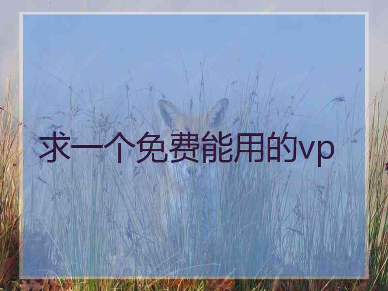 求一个免费能用的vp