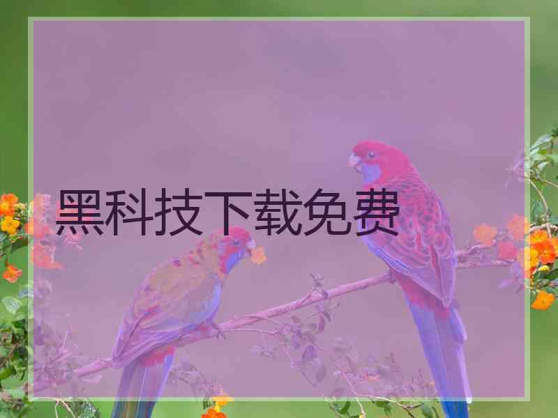 黑科技下载免费