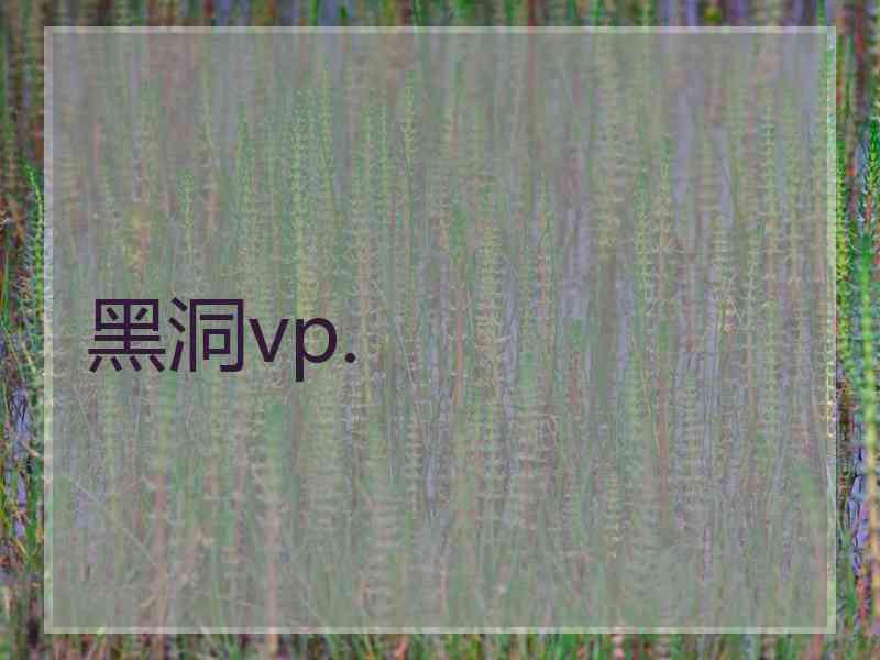 黑洞vp.