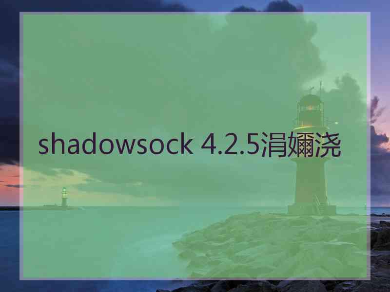 shadowsock 4.2.5涓嬭浇