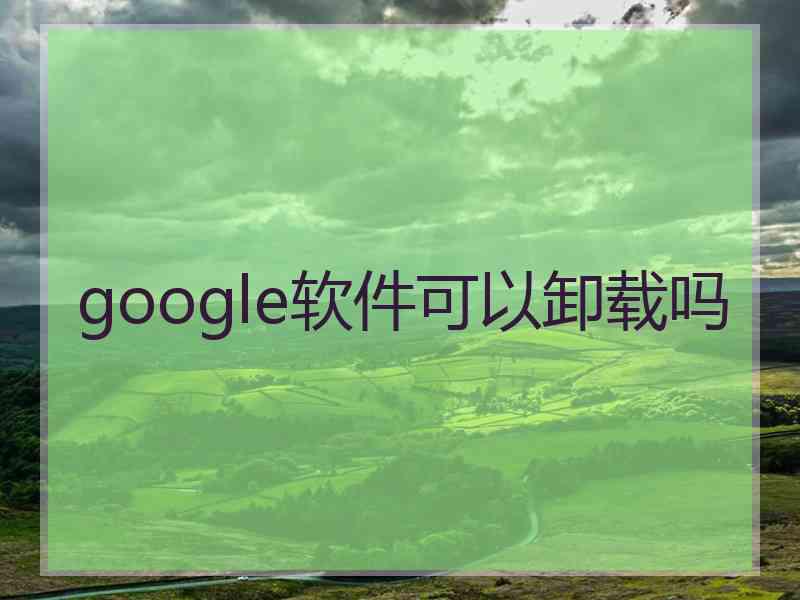 google软件可以卸载吗