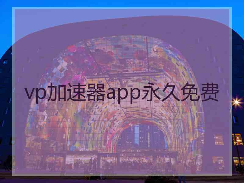 vp加速器app永久免费