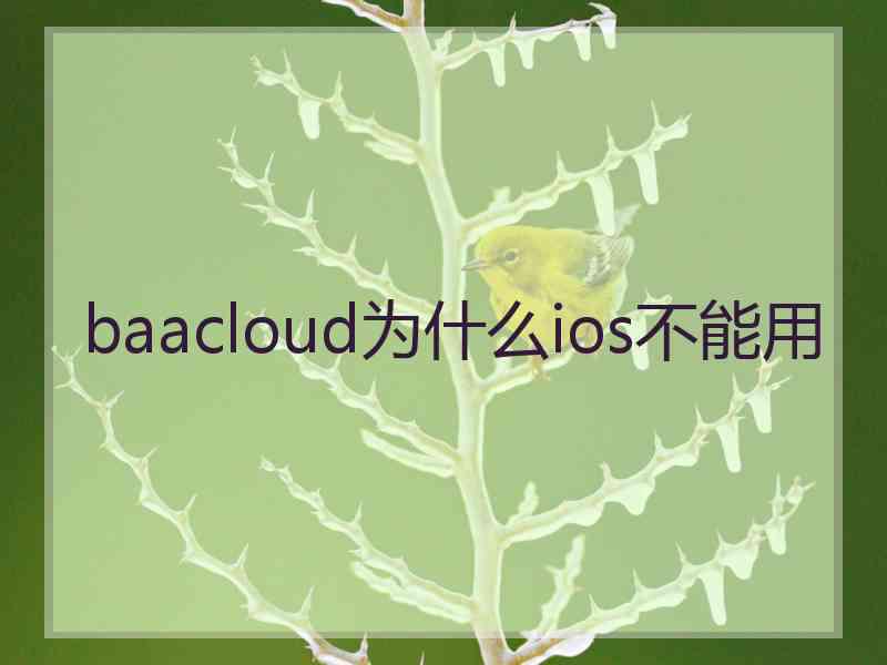 baacloud为什么ios不能用