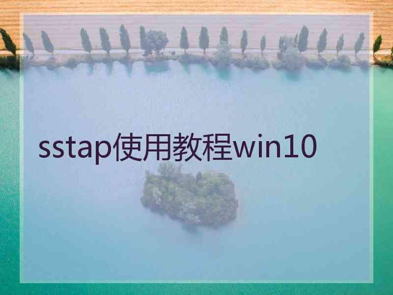 sstap使用教程win10