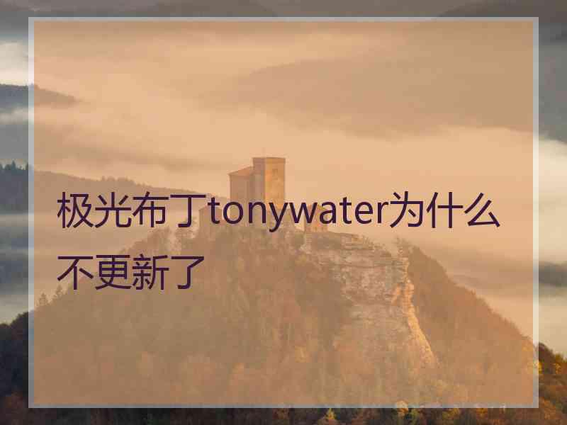 极光布丁tonywater为什么不更新了