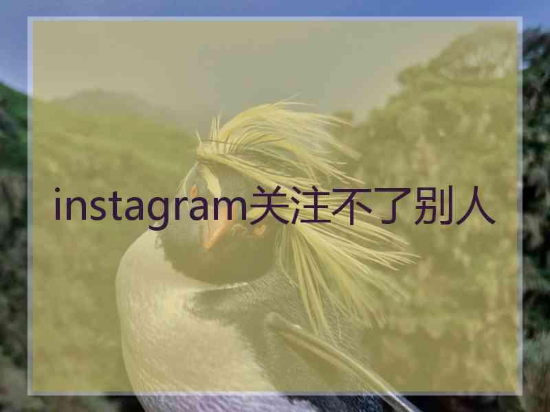 instagram关注不了别人