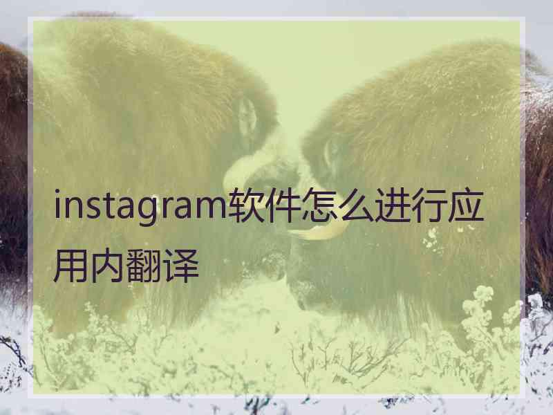 instagram软件怎么进行应用内翻译