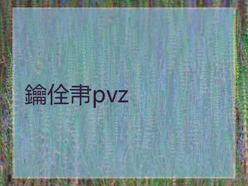 鑰佺帇pvz