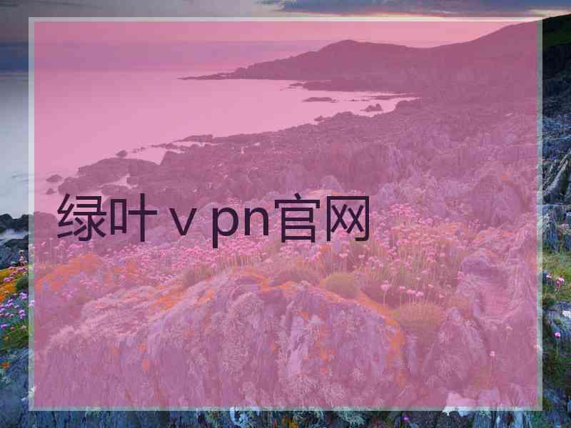 绿叶ⅴpn官网