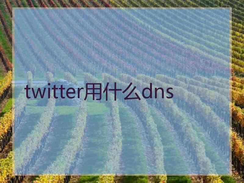 twitter用什么dns