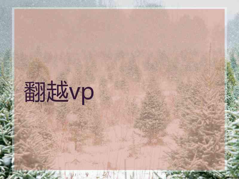 翻越vp