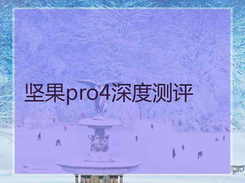 坚果pro4深度测评