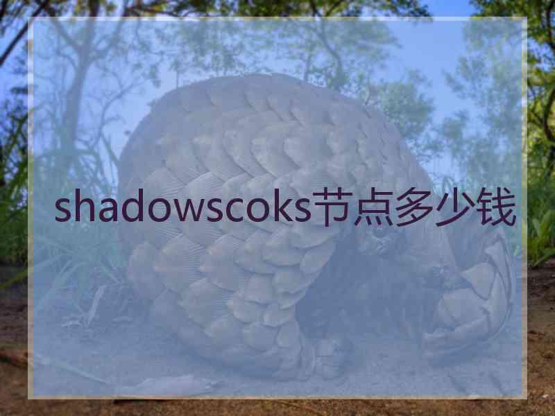 shadowscoks节点多少钱