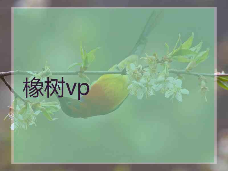 橡树vp