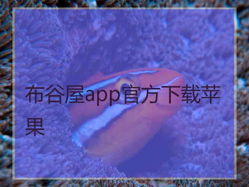 布谷屋app官方下载苹果