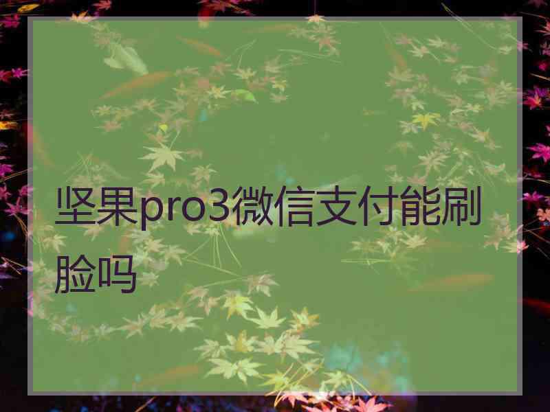 坚果pro3微信支付能刷脸吗