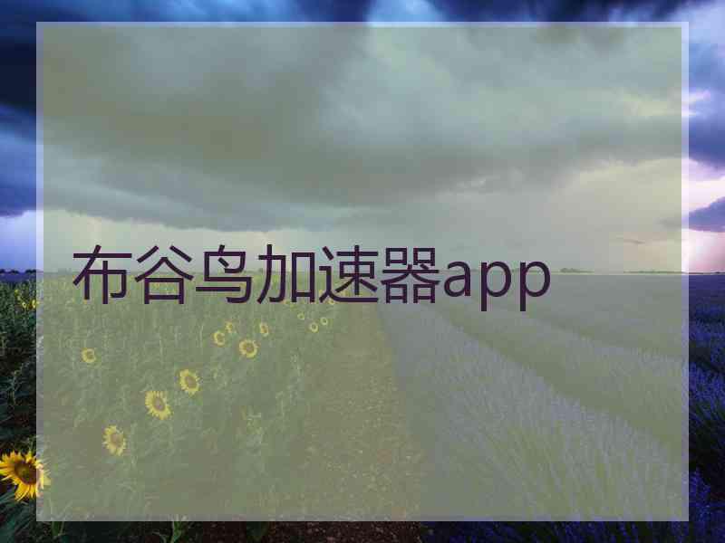 布谷鸟加速器app