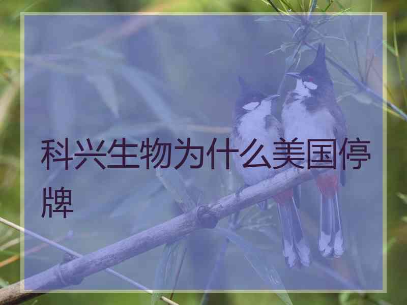 科兴生物为什么美国停牌