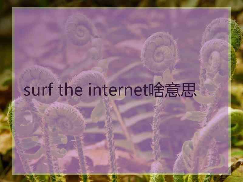 surf the internet啥意思