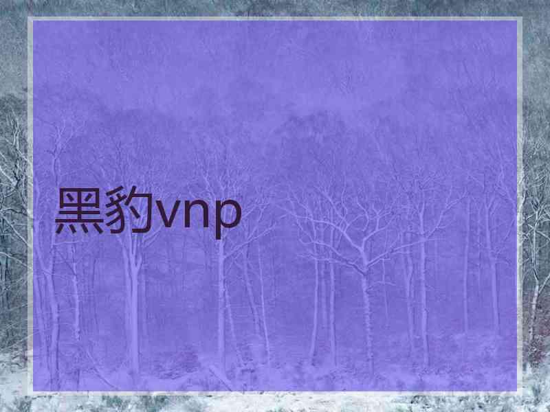 黑豹vnp