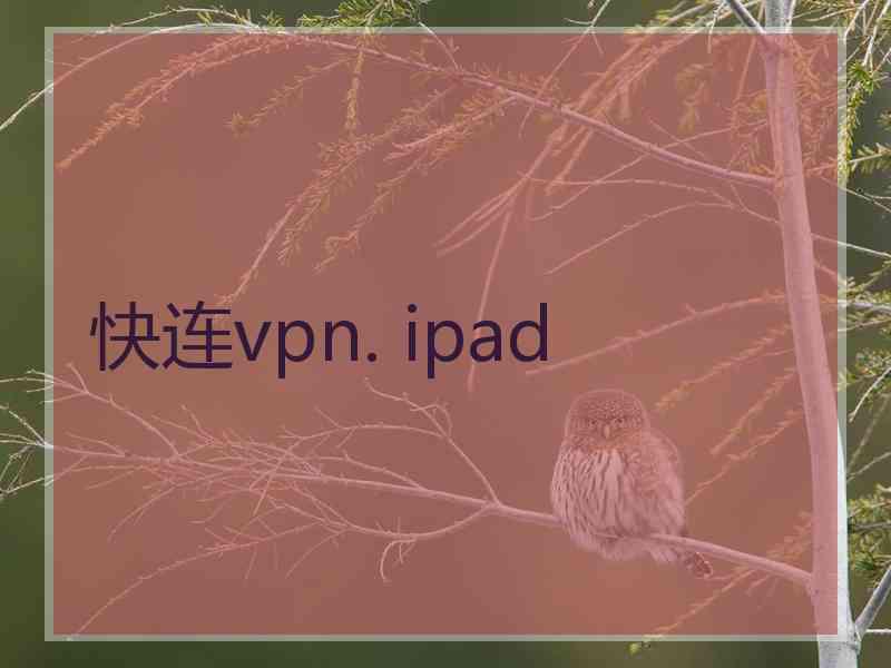 快连vpn. ipad