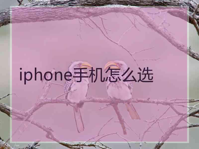 iphone手机怎么选