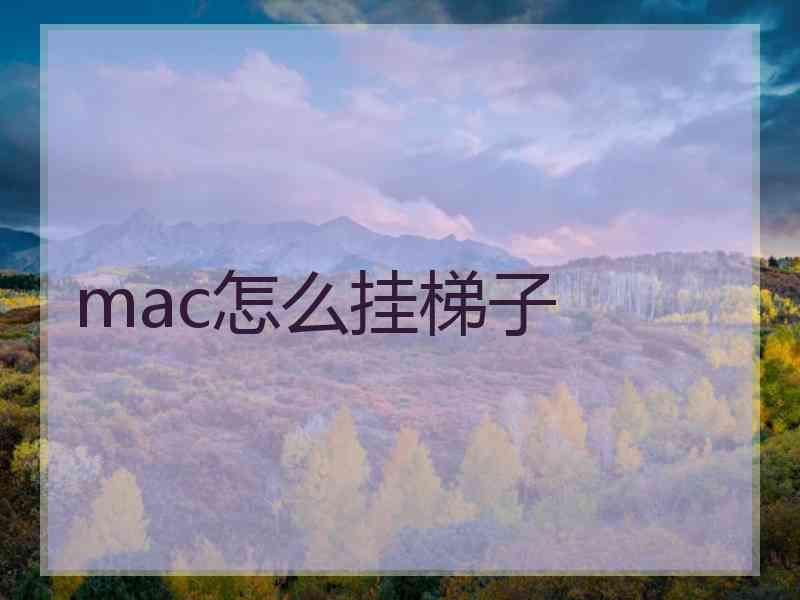 mac怎么挂梯子