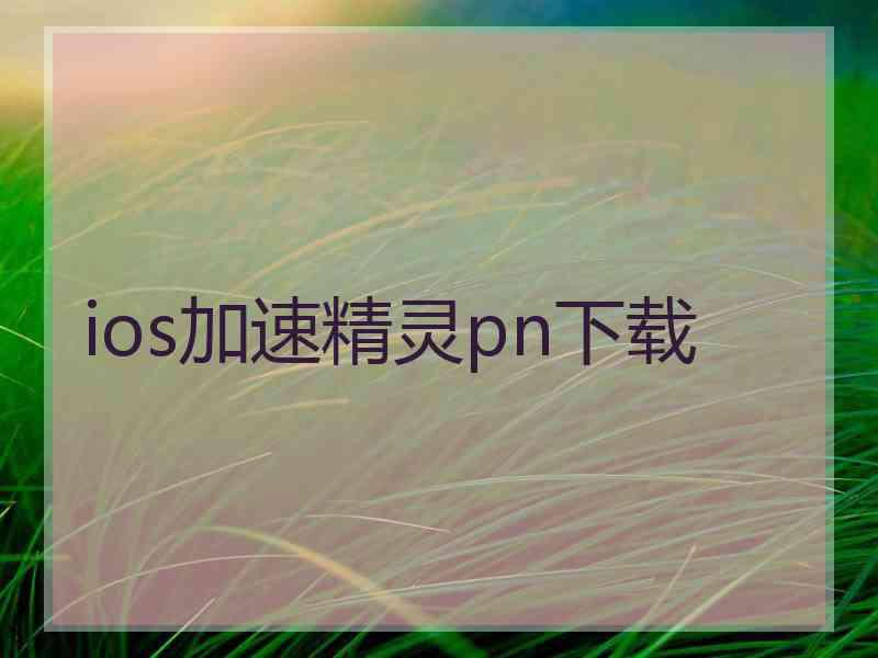 ios加速精灵pn下载