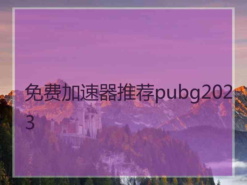 免费加速器推荐pubg2023