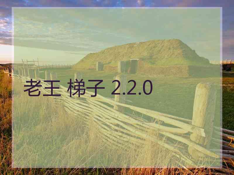 老王 梯子 2.2.0