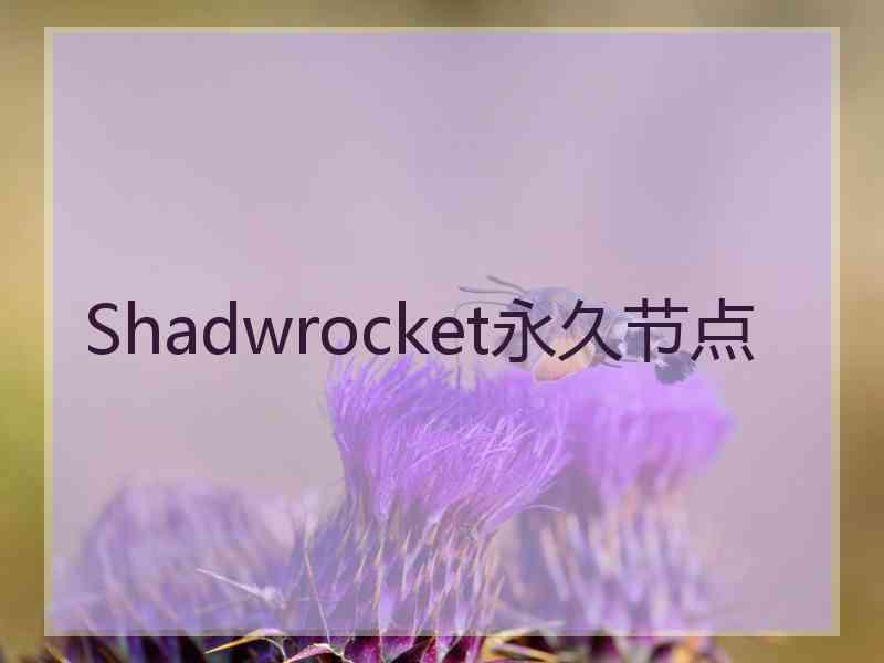 Shadwrocket永久节点