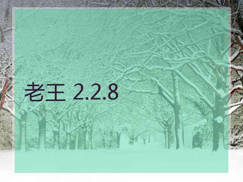 老王 2.2.8