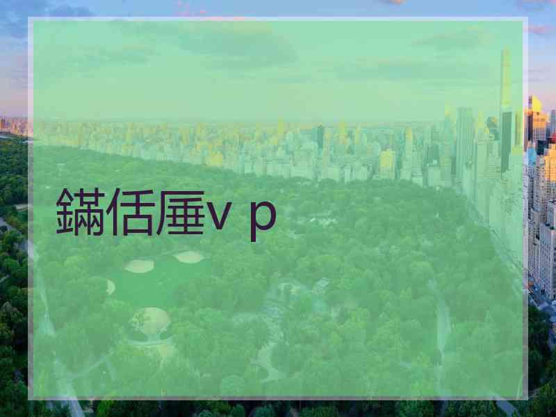 鏋佸厜v p