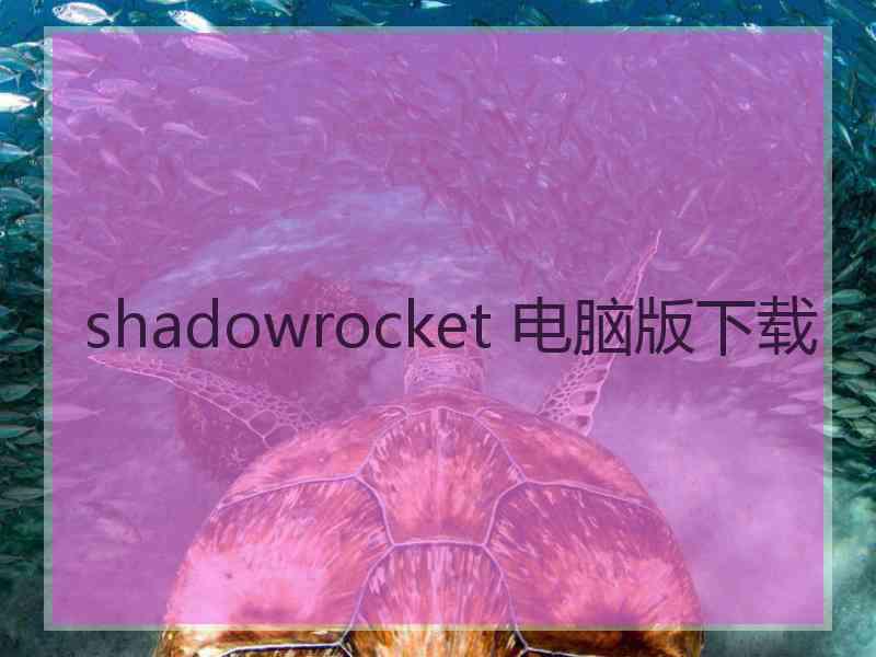 shadowrocket 电脑版下载