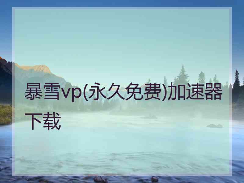 暴雪vp(永久免费)加速器下载