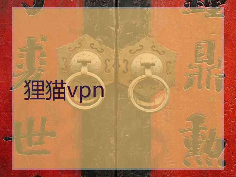 狸猫vpn