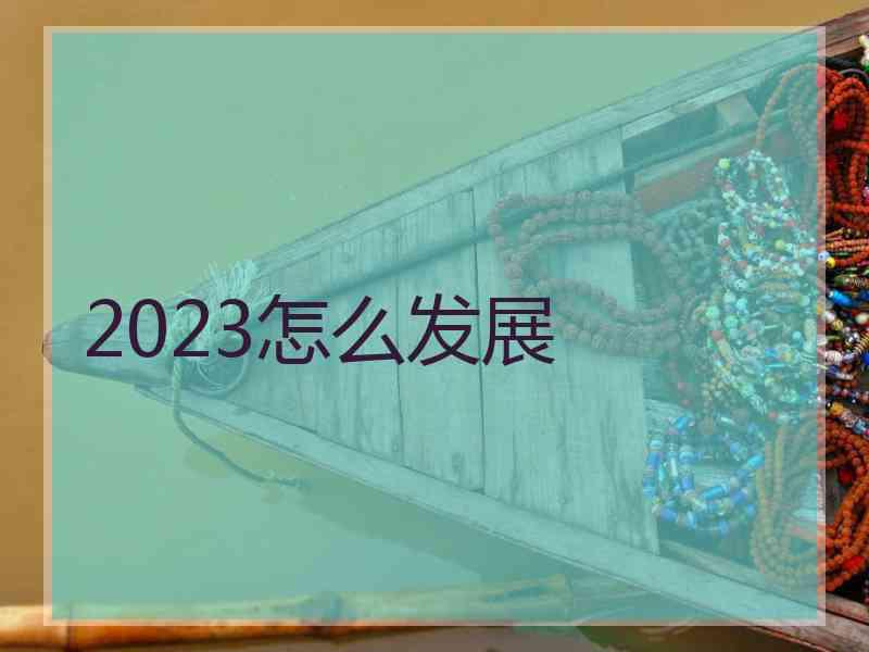 2023怎么发展