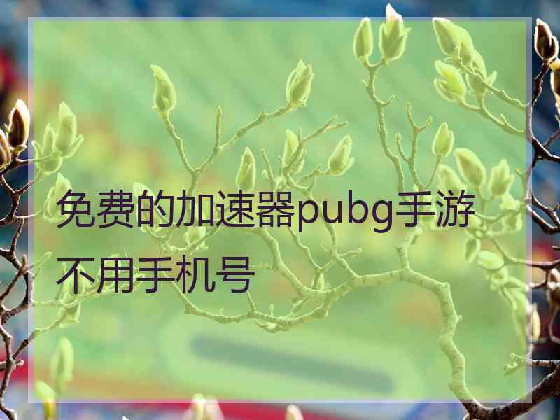 免费的加速器pubg手游不用手机号