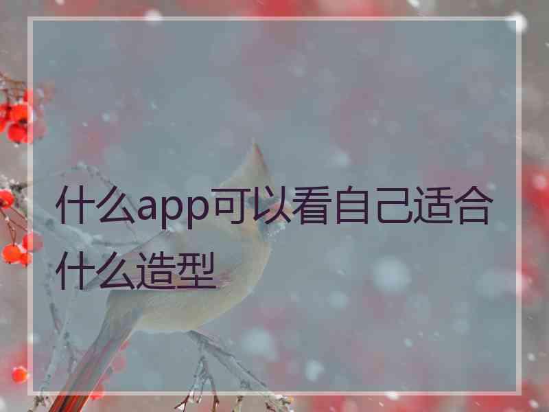 什么app可以看自己适合什么造型