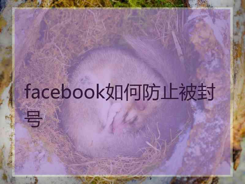 facebook如何防止被封号