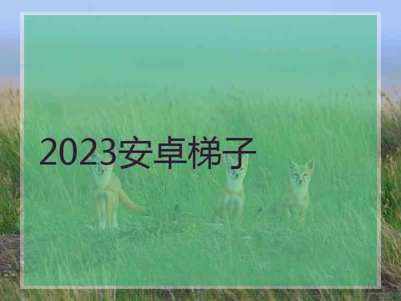 2023安卓梯子