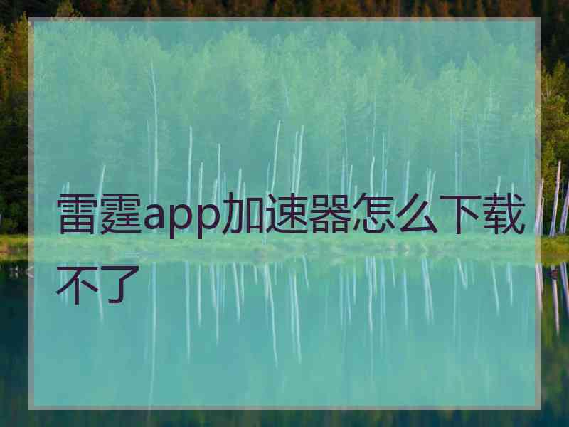 雷霆app加速器怎么下载不了