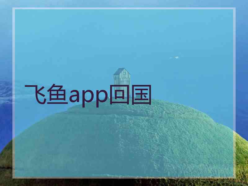 飞鱼app回国