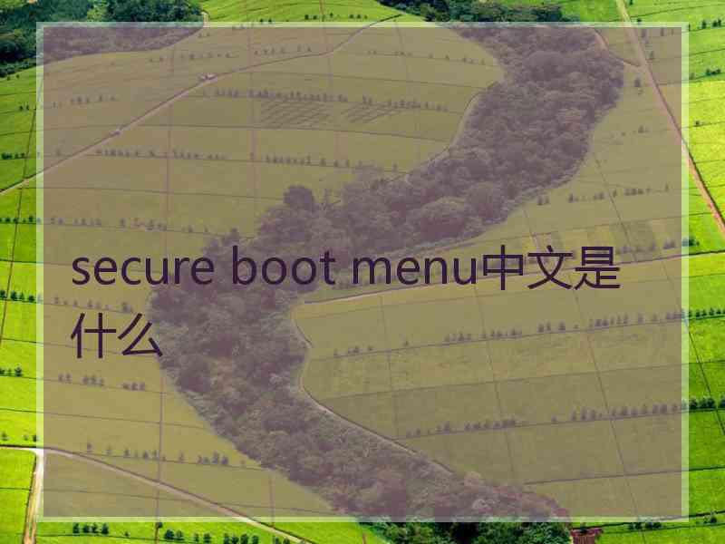 secure boot menu中文是什么