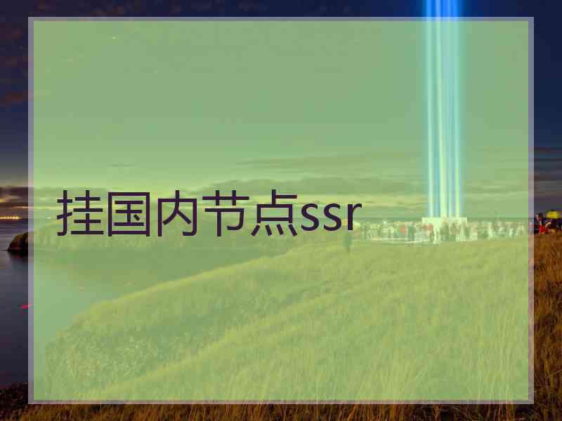 挂国内节点ssr