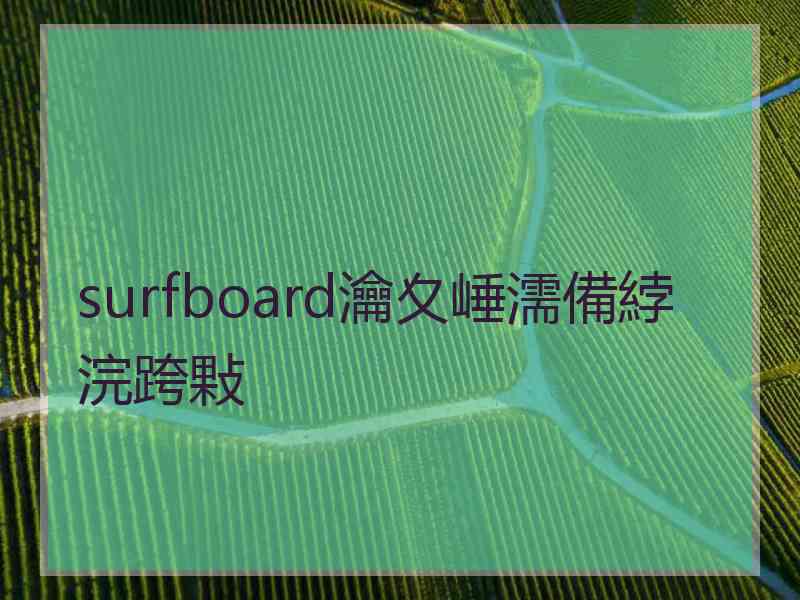 surfboard瀹夊崜濡備綍浣跨敤