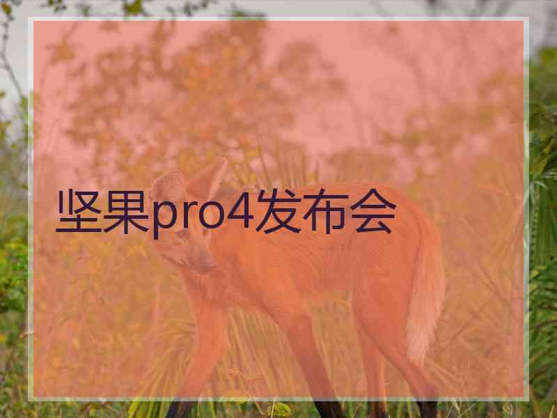 坚果pro4发布会