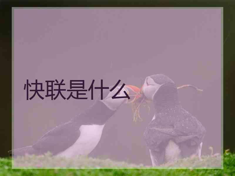 快联是什么